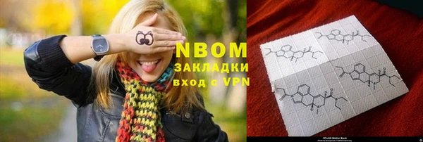 индика Абинск