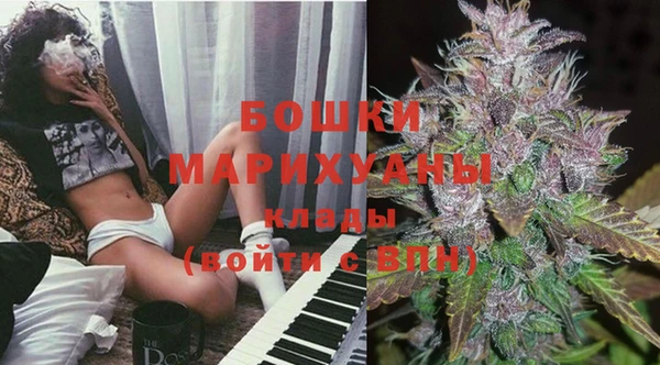 шишки Абаза