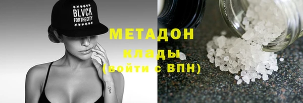 шишки Абаза