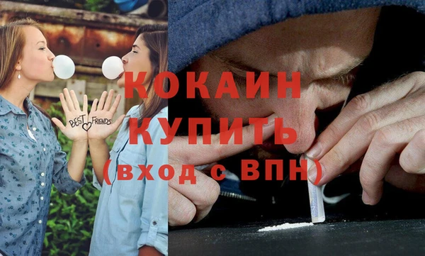 индика Абинск