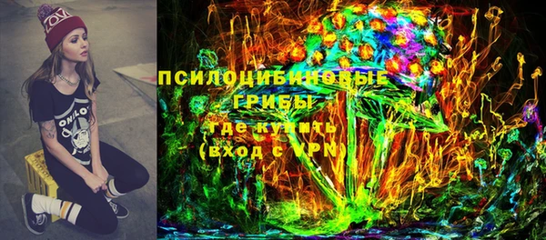 индика Абинск