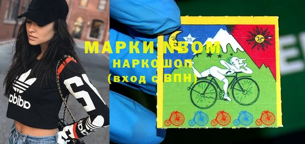 стаф Алзамай