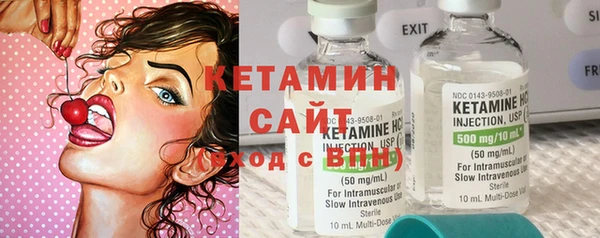 шишки Абаза