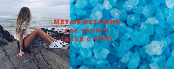 шишки Абаза