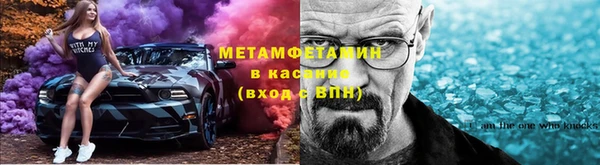шишки Абаза
