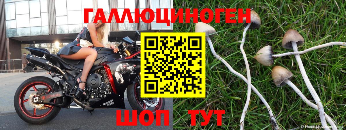 МЕФ Норильск
