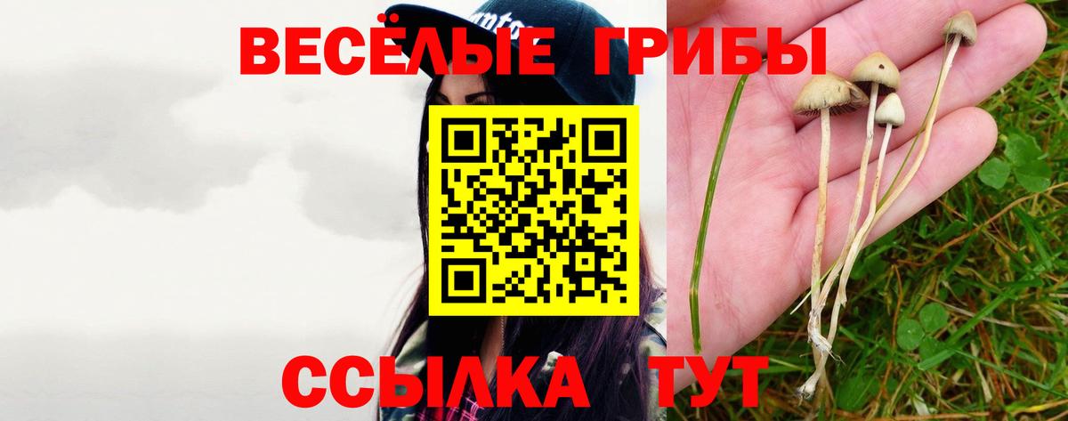 Норильск  Псилоцибиновые грибы мицелий  Вход с VPN  Галлюциногенные грибы Cubensis 