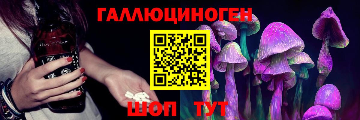 Псилоцибиновые грибы Psilocybe Норильск